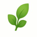 Daily in Joy leaf mark